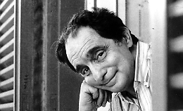 Italo Calvino e i lavandai di Bertolla