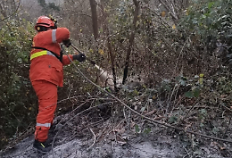 Cenere ardente nel bosco, sfiorato il disastro