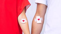 Filotimo e sangue: a Favria vince la civiltà del dono