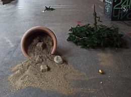 La città si scaglia contro i teppisti che hanno rotto gli alberi di Natale ma qualcuno li giustifica