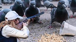 Piccioni ammazzati a fucilate, gli animalisti si ribellano: "Contrasteremo questo piano"