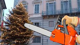 Sindaco "motosega". Polemica sull'omicidio dell'albero di Natale