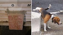 "Non fate pisciare i cani sui lucchetti: ci mettiamo le mani per aprire!". Ecco il cartello dei commercianti della città
