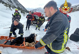 Soccorsi anche dalla Francia per salvare Giotto, il cane caduto in un dirupo