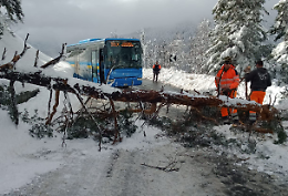 Strade chiuse in Canavese e in provincia di Torino. Ecco l'elenco! (FOTO DA CERESOLE)