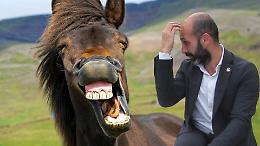 Sette direttori artistici per una fiera... Tutti i grattacapi del sindaco?