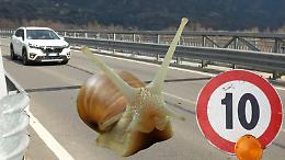 Traffico lumaca sul ponte dell'autostrada A5: forse c'è una soluzione