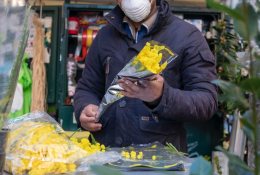 La sfida dell'8 Marzo: non comprate le mimose "in nero" dai venditori abusivi
