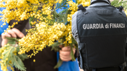 8 Marzo: la Finanza sequestra un banchetto di mimose e fa una multa record al venditore