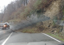 Cade un albero per strada: viabilità bloccata sulla provinciale 