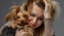 Un rifugio di pace e pelliccia: la Pet Therapy entra nelle Caserme di Torino