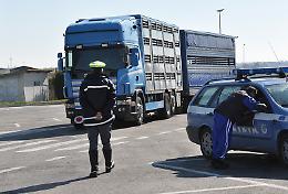 6mila euro di multe e posti di blocco: scattano i controlli dei mezzi pesanti lungo le provinciali 