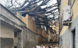 Tragedia sfiorata: è crollato un albero sopra alcuni uffici comunali (VIDEO)
