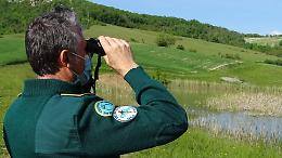 Vuoi diventare una guardia ecologica volontaria? Ecco come si fa...