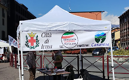Scandaloso: stemma della città utilizzato abusivamente! Sindaco e Presidente del Consiglio intervengono solo dopo ore.