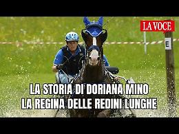 Passione per i cavalli e un talento innato: ecco Doriana Mino, regina delle redini lunghe