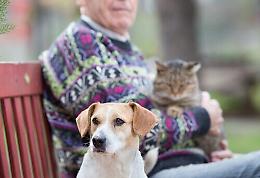 È ufficiale: inaugurato il centro veterinario gratis per le persone più fragili che hanno animali domestici