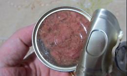Rubano in un supermercato di Torino 69 confezioni di carne in scatola: due uomini nei guai 