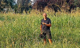 Capitale dell'erbaccia e dei marciapiedi "a scomparsa". Chiantore vuole fare la stessa fine di Sertoli? 