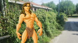 Via Lago San Michele... Qualcuno ha visto Tarzan?
