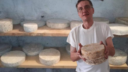 La rinascita della Toma del legno: un formaggio unico del Canavese salvato dall’oblio