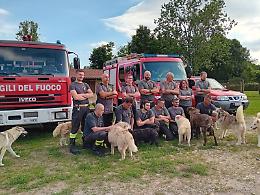 I Vigili del Fuoco del Canavese posano assieme ai cuccioli del canile per il nuovo calendario del 2025 (FOTO)
