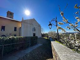 Concerto per la festa di Maria Liberatrice