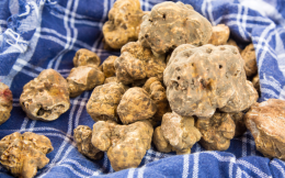 Fiera del tartufo bianco di Moncalvo 2024: eccellenza e tradizione nel cuore del Monferrato