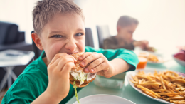 Gli italiani e la memoria corta: il disastro alimentare ignorato