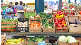 Ivrea si colora di verde con SanaTerra: la fiera dell’economia solidale