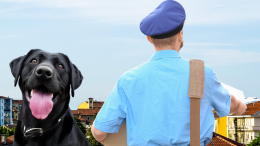 Il postino arriva… quando vuole e se c'è il cane lancia il giornale