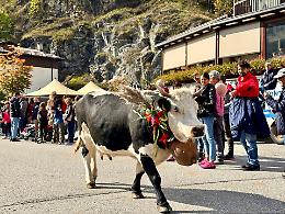 Il cuore della montagna batte forte a Usseglio: la magia della Transumanza resiste al tempo e al freddo!