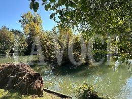 Crolla una quercia nel parco e finisce nel laghetto dei pescatori
