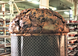 Un panettone da guinness dei primati: 50 kg di passione e tradizione