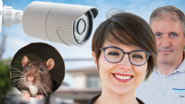 A Settimo Torinese, nuove telecamere per girare un film sui topi