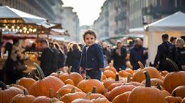 Sagra della Zucca di Brandizzo: tradizione, sapori e cultura Locale