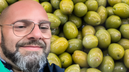 Il mistero del frantoio per le olive che costa un'occhio della testa ma "forse" non si fa
