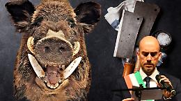 Animalisti piemontesi contro la Sagra del Cinghiale di Venaria Reale: "Nessun rispetto per la vita. Non andate!"