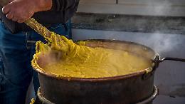 Festa d'Autunno a Piossasco: sapori, sport e divertimento invadono la città