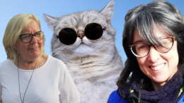 I gatti in carcere no! E' scontro aperto tra EporediAnimali e il Comune
