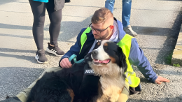 “Max, sei tornato!”: la storia del cagnolone smarrito che ha commosso migliaia di persone