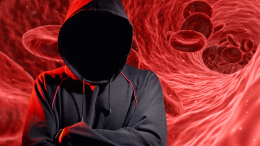 Attacco hacker all’Avis: la solidarietà messa in ginocchio, ma i donatori non si arrendono 
