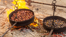 Castagnata a Chiaverano: un incontro di tradizioni, natura e sapori d’autunno