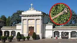 Scoperta shock al cimitero: spunta un osso umano tra le tombe