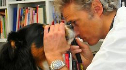 Tragedia a Torino: il veterinario dei Vip Luca Ferrero muore dopo un incidente in bicicletta