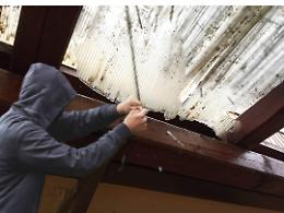 Vandalismo alla colonia elioterapica: un angolo di serenità e memoria storica devastato