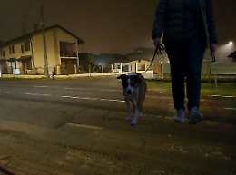 In via Giuseppe Mazzini, il pericolo invisibile: pedoni a rischio ogni giorno senza strisce