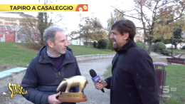 A Ivrea, un Tapiro per Casaleggio. Quando la politica si attapira davvero