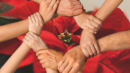 Stelle di Natale AIL: anche quest'anno si rinnova la tradizione solidale. Dove vanno a finire i fondi? 
