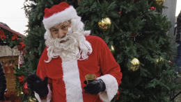 Il paese si veste della magia del Natale: tutte le foto della festa per l'accensione dell'Albero a Verolengo